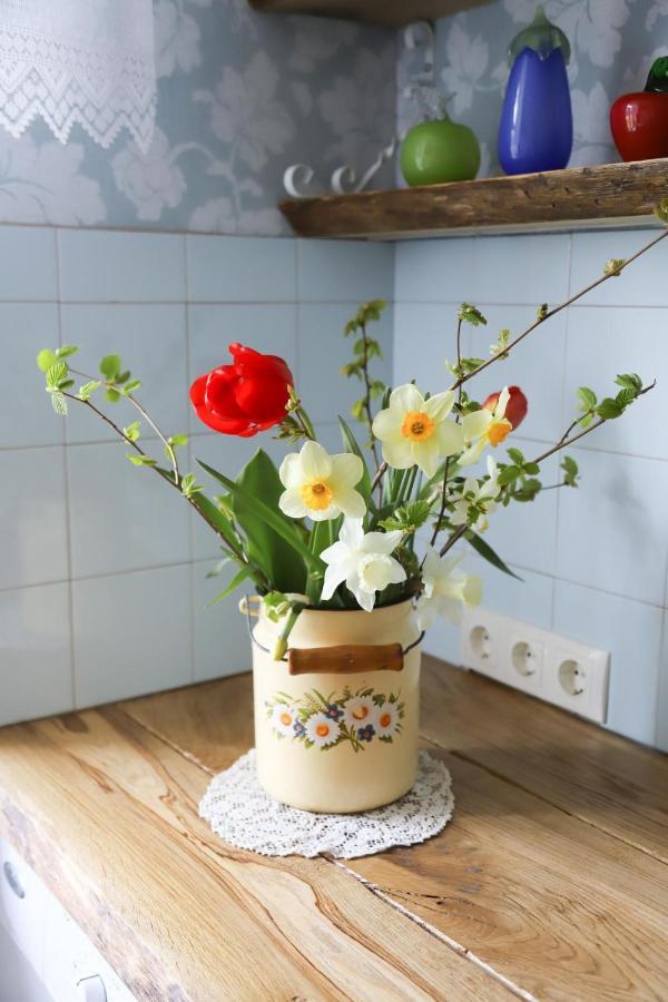 Kaerdla Retrovisiit Helmi Apartment Екстериор снимка